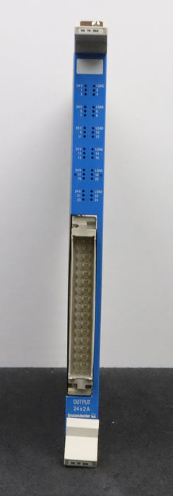 Bild des Artikels REISHAUER-/-GROSSENBACHER-Einschubplatine-50-70-350-OUTPUT-24x2A