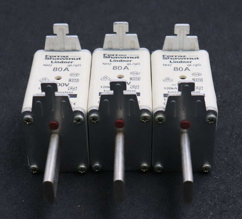 Bild des Artikels FERRAZ-SHAWMUT/LINDNER-3x-Sicherungseinsatz-fuse-link-NH2GG50V80-NH2-80A-500VAC