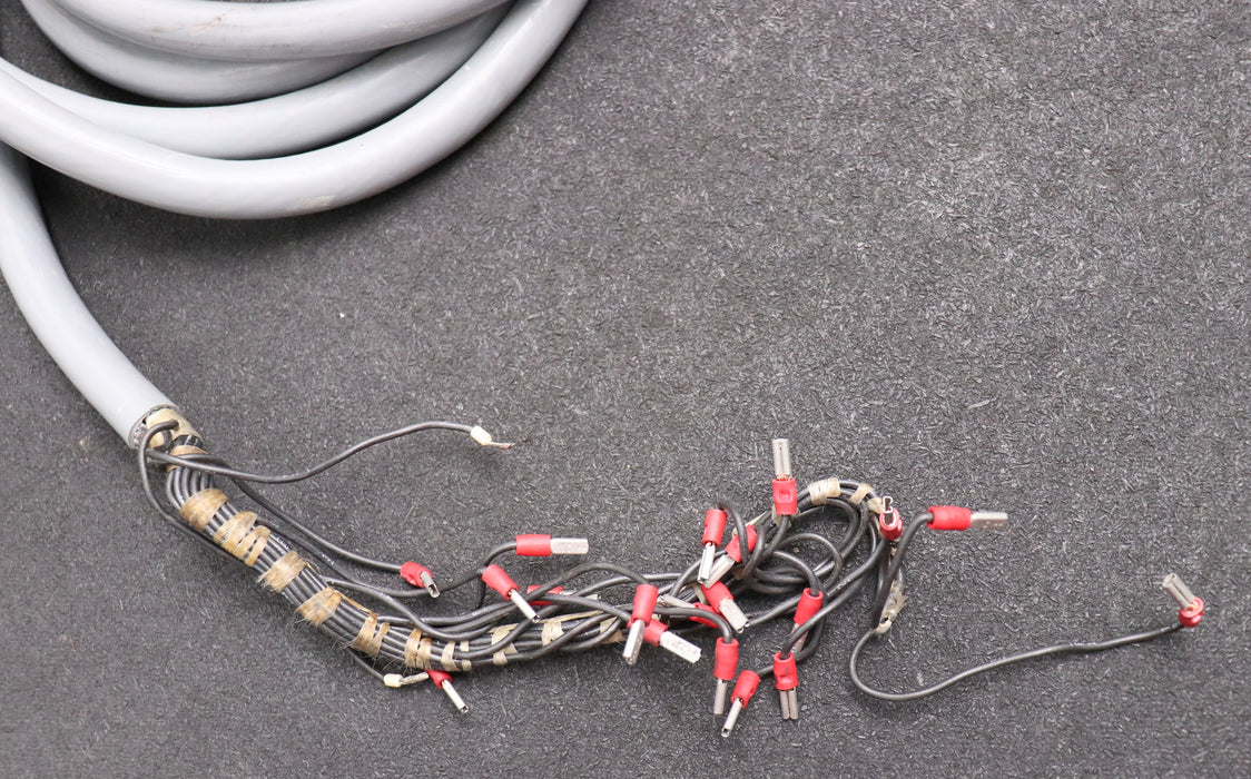 Bild des Artikels HÄNEL-Selektionsaggregat-mechanisch-für-Paternoster-für-19-Fächer-gebraucht