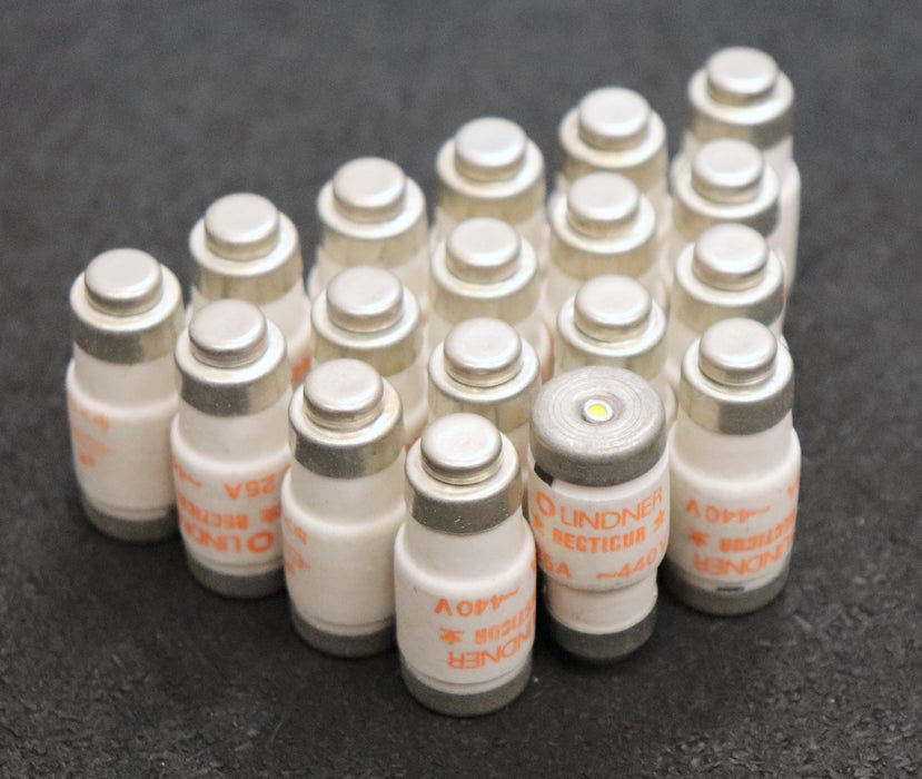 LINDNER RECTICUR 18x Sicherungseinsatz fuse-link 25A 440V - gR - 100kA