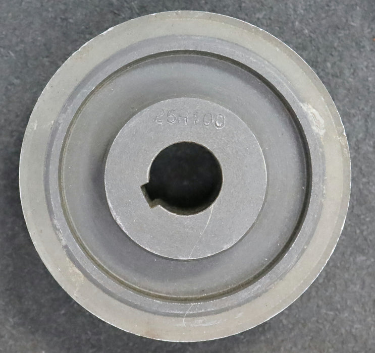 Stahl Zahnscheibe mit beidseitiger Bordscheibe 26-H-100 Profil: H - 26 Zähne